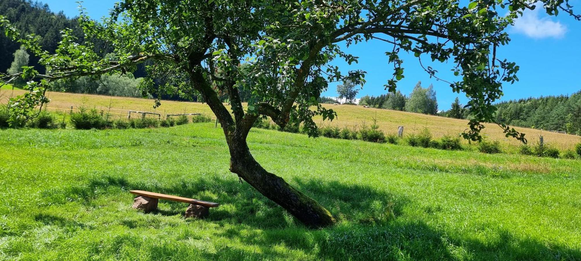 Appartamento Chalupa Vapenka - Kapacita 12 Osob Stárkov Esterno foto